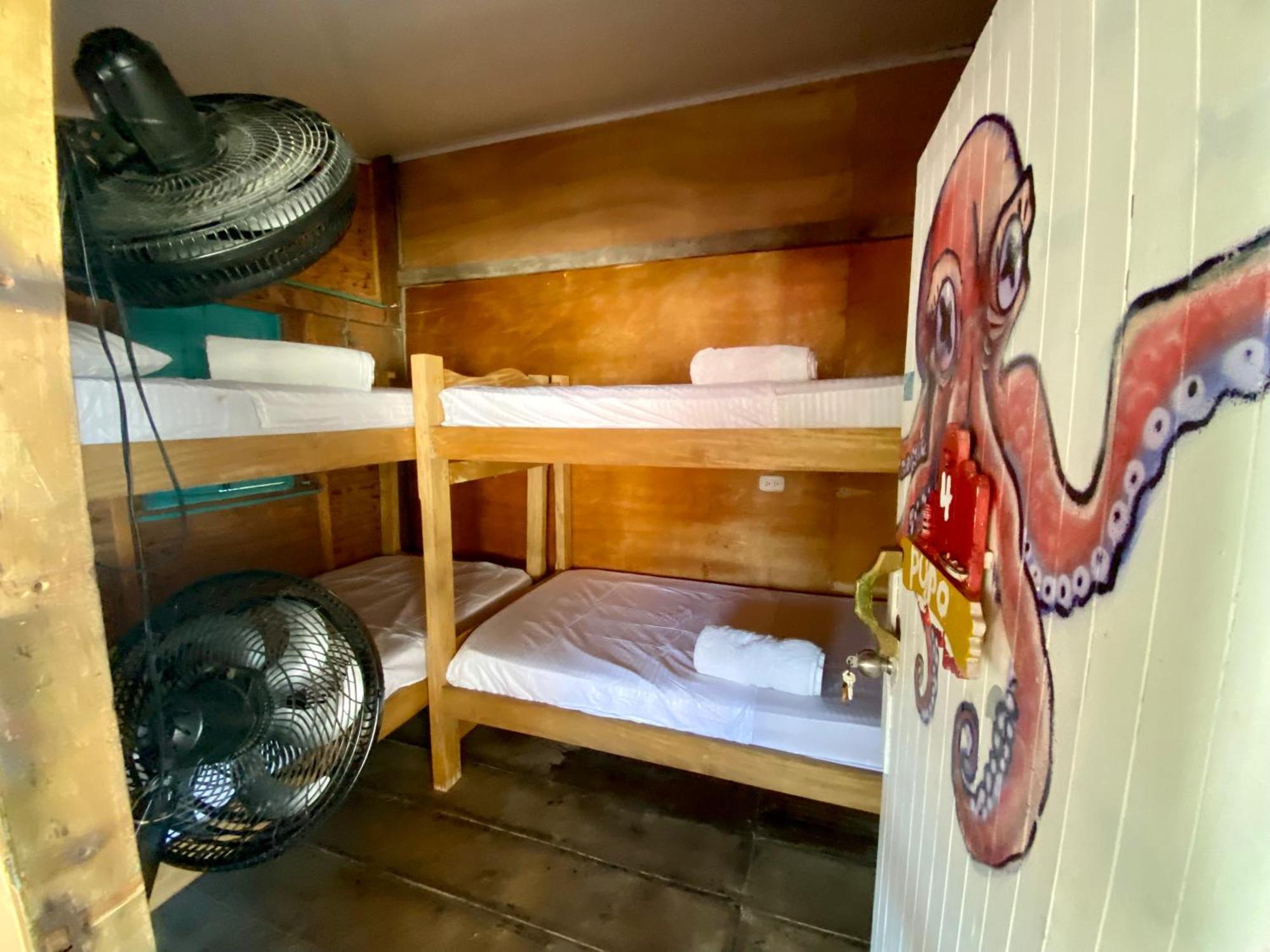 Eco Hostal Estrella De Mar Остров Мукура Екстериор снимка